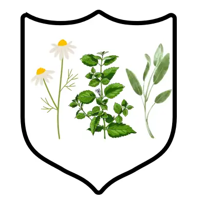 Protivupalno.webp